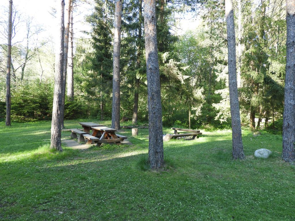 Chata Dasa High Tatras Mlynceky Exterior photo